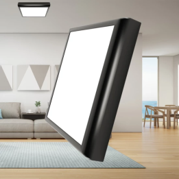Braytron Πλαφονιέρα led 20w 2000lm CCT (2 σε 1)