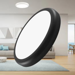 Braytron Πλαφονιέρα led 20w 2000lm CCT (2 σε 1)