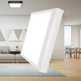 Braytron Πλαφονιέρα led 20w 2000lm CCT (2 σε 1)
